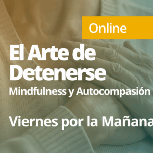 El Arte de Detenerse